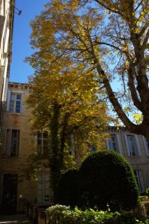Descoberta de Montpellier com a arquitetura e os jardims - França